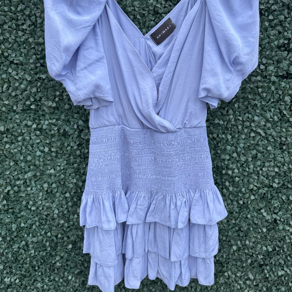 Aminari Ruffle Mini Dress